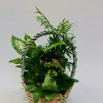 Cesta destellos de Primavera