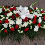 CENTRO PALMA GRANDE Nº5