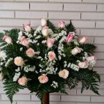 CENTRO 18 ROSAS Nº1