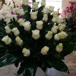 CENTRO 24 ROSAS Nº2