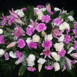 PALMA DE CLAVEL Nº9