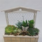 JARDINERA CACTUS