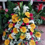 CENTRO FUNE. GERBERAS Nº3