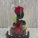 Cúpula Rosa etena con luz