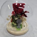 CUPULA DE CRISTAL+virgen+rosa eterna roja