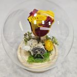 CUPULA rosa eterna bandera España